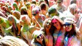 color_festival_06