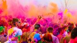 color_festival_14