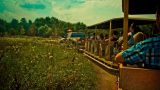 dino_park_11