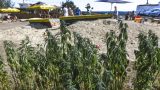 hemp_farm_vranc_09