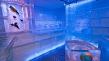 karlovy_lazne_icebar_11