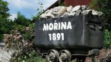 morina_amerika_08