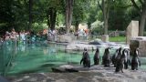 prague_zoo_06