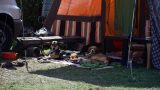 spirit_base_festival_24