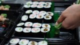 sushi_time_09
